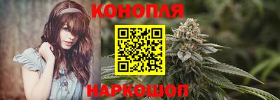 индика Жуковский