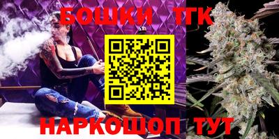 индика Жуковский