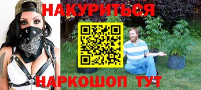 индика Жуковский