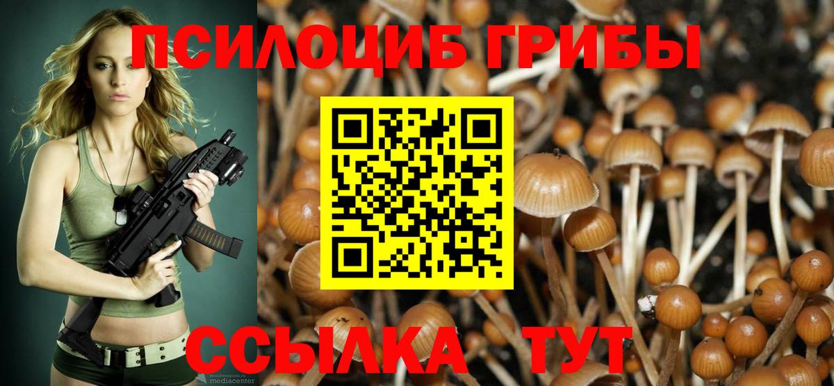 Псилоцибиновые грибы Magic Shrooms  Вход с VPN  Псилоцибиновые грибы прущие грибы  Лесозаводск 